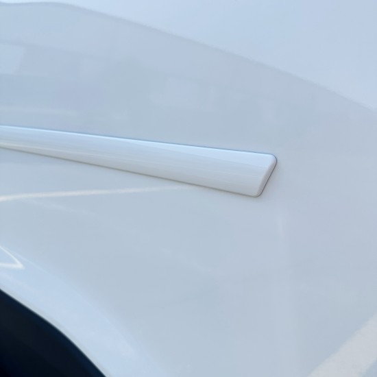  Lincoln Nautilus Painted Body Side Molding 2024 - 2026 / FE-NAUTILUS24