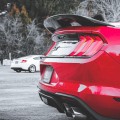 Ford Mustang GT 350 Pedestal Style Spoiler