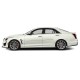 Cadillac CTS Sedan ChromeLine Painted Body Side Molding 2014 - 2019 / CF-CTS14 (CF-CTS14) by www.Sportwing.com