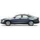 Honda Accord ChromeLine Painted Body Side Molding 2023 - 2024 / CF7-ACC23 (CF7-ACC23) by www.Sportwing.com