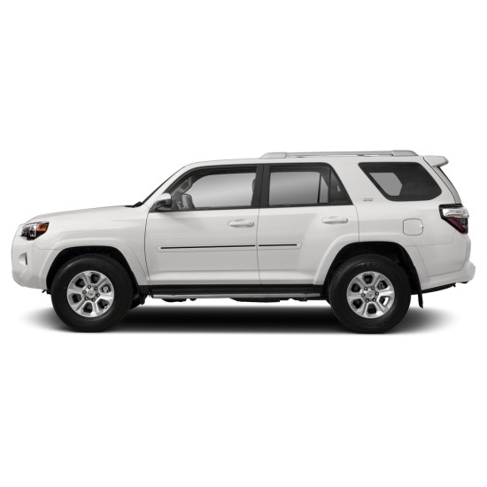  Toyota 4Runner Painted Moldings with a Color Insert 2010 - 2024 / CI2-4RUN | Sportwing