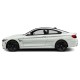 BMW 4-Series Coupe Painted Body Side Molding 2013 - 2020 / FE-BMW4 (FE-BMW4) by www.Sportwing.com