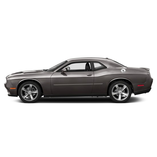 Dodge Challenger Painted Body Side Molding 2008 - 2023 / FE-CHALL (FE-CHALL) by www.Sportwing.com