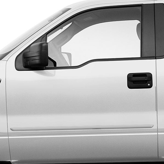 Ford F-150 Regular Cab Painted Body Side Molding 2009 - 2014 / FE-F15009-RC (FE-F15009-RC) by www.Sportwing.com