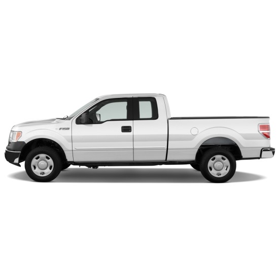 Ford F-150 SuperCab Painted Body Side Molding 2009 - 2014 / FE-F15009-SC (FE-F15009-SC) by www.Sportwing.com