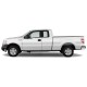 Ford F-150 SuperCab Painted Body Side Molding 2009 - 2014 / FE-F15009-SC (FE-F15009-SC) by www.Sportwing.com