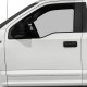  Ford F-150 Regular Cab Painted Body Side Molding 2015 - 2022 / FE-F15015-RC