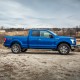 Ford F-150 SuperCab Painted Body Side Molding 2015 - 2023 / FE-F15015-SC (FE-F15015-SC) by www.Sportwing.com