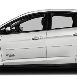  Ford Focus Sedan / 5 Door Hatchback Painted Body Side Molding 2008 - 2018 / FE-FOCUS084DR