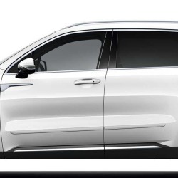  Kia Sorento Painted Body Side Molding 2021 - 2025 / FE-SOR21
