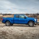 Ford F-150 SuperCab Painted Body Side Molding 2015 - 2023 / FE2-F15015-SC (FE2-F15015-SC) by www.Sportwing.com