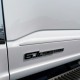 Ford F-250 SuperCrew Painted Body Side Molding 2023 - 2024 / FES-F250/350-23-CC (FES-F250/350-23-CC) by www.Sportwing.com