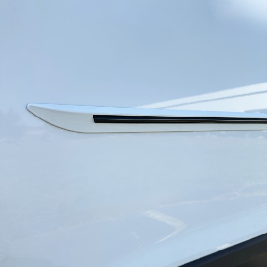 Hyundai Sonata Painted Moldings with a Color Insert 2020 - 2023 / CI7-SON20 (CI7-SON20) by www.Sportwing.com