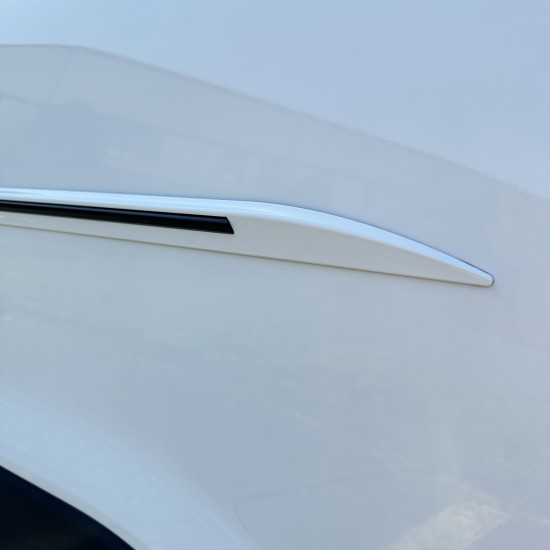  Toyota Camry Painted Moldings with a Color Insert 2018 - 2024 / CI7-CAM18 | Sportwing