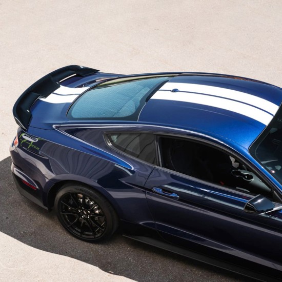 Ford Mustang GT350 Style Pedestal Rear Deck Spoiler 2015 - 2023 / MUS15-PED (MUS15-PED) by www.Sportwing.com