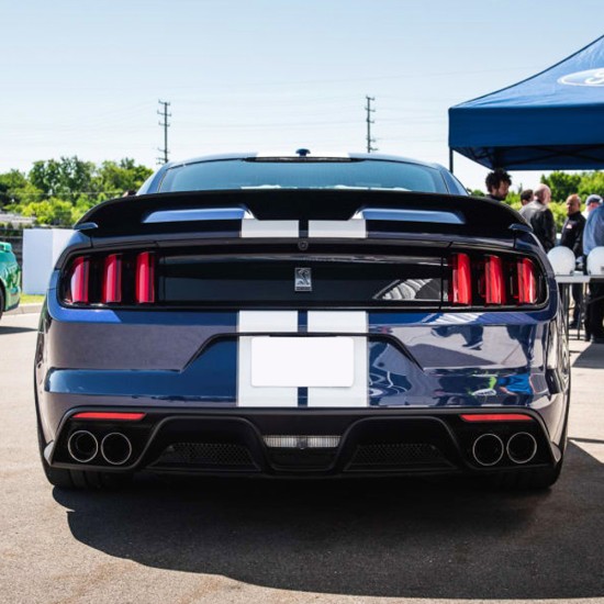 Ford Mustang GT350 Style Pedestal Rear Deck Spoiler 2015 - 2023 / MUS15-PED (MUS15-PED) by www.Sportwing.com