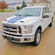 Ford F-150 Painted Functional Ram Air Hood 2015 - 2020 / RAHF15015 (RAHF15015) by www.Sportwing.com