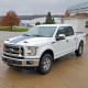 Ford F-150 Painted Functional Ram Air Hood 2015 - 2020 / RAHF15015 (RAHF15015) by www.Sportwing.com