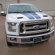 Ford F-150 Painted Functional Ram Air Hood 2015 - 2020 / RAHF15015 (RAHF15015) by www.Sportwing.com