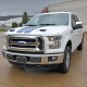 Ford F-150 Painted Functional Ram Air Hood 2015 - 2020 / RAHF15015 (RAHF15015) by www.Sportwing.com