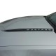 Ford Mustang Dominator Spear NAME Hood Graphic Kit 2010 - 2012 / EE1510 Ford Mustang Dominator Spear NAME Hood Graphic Kit 2010 - 2012 / EE1510