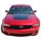 Ford Mustang Dominator Graphic Kit 2010 - 2012 / EE1513 Ford Mustang Dominator Graphic Kit 2010 - 2012 / EE1513