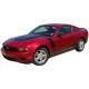 Ford Mustang Dominator Graphic Kit 2010 - 2012 / EE1513 Ford Mustang Dominator Graphic Kit 2010 - 2012 / EE1513