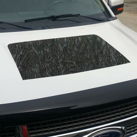 Ford F-150 Meadowland Hood Graphic Kit 2009 - 2014 / EE1815 Ford F-150 Meadowland Hood Graphic Kit 2009 - 2014 / EE1815
