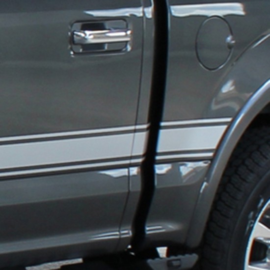 Ford F-150 Force 2 Graphic Kit 2009 - 2014 / EE1977 Ford F-150 Force 2 Graphic Kit 2009 - 2014 / EE1977