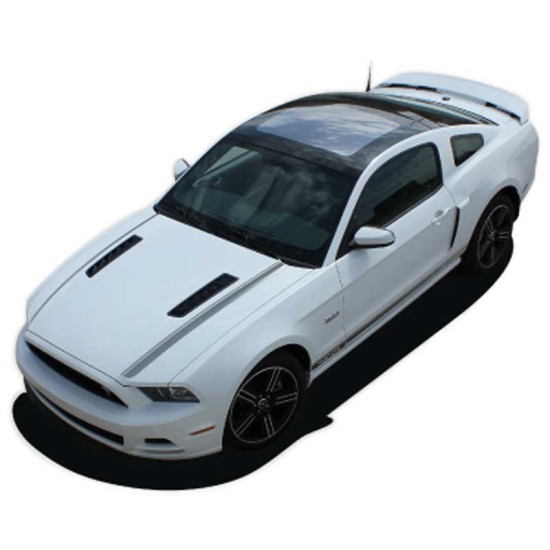Ford Mustang Cali NAME Graphic Kit 2013 - 2014 / EE2786