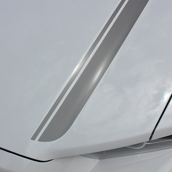 Ford Mustang Cali Graphic Kit 2013 - 2014 / EE2905 Ford Mustang Cali Graphic Kit 2013 - 2014 / EE2905