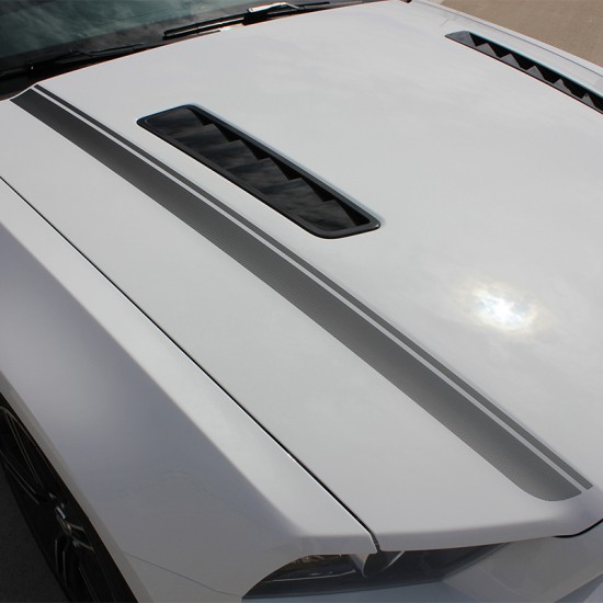 Ford Mustang Cali Graphic Kit 2013 - 2014 / EE2905 Ford Mustang Cali Graphic Kit 2013 - 2014 / EE2905