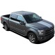 Ford F-150 F-Rally Graphic Kit 2015 - 2017 / EE3822