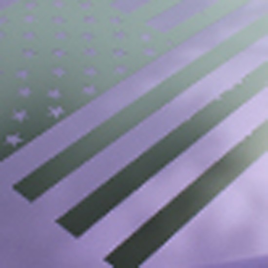 Universal American Flag Graphic Kit / EE5130
