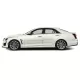 Cadillac CTS Chrome Body Molding 2014 - 2019 / CBM-300-10113839 (CBM-300-10113839) by www.Sportwing.com