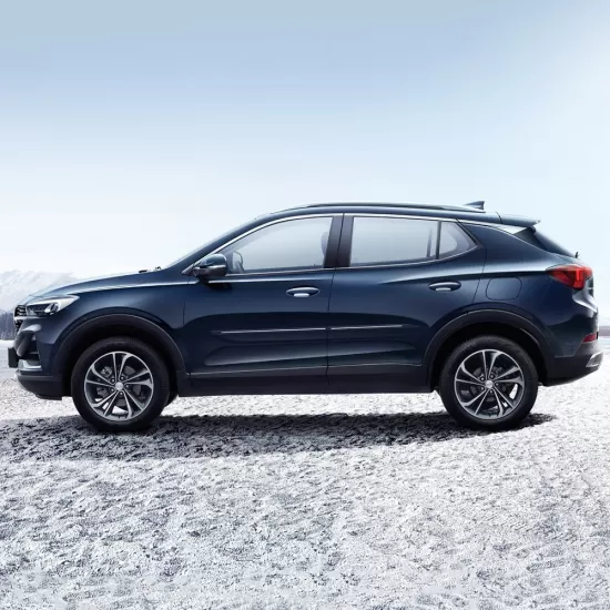  Buick Encore GX ChromeLine Painted Body Side Molding 2020 - 2026 / CF7-ENCORE20