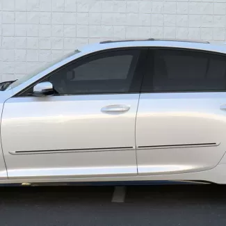 Cadillac CT5 Painted Moldings with a Color Insert 2020 - 2023