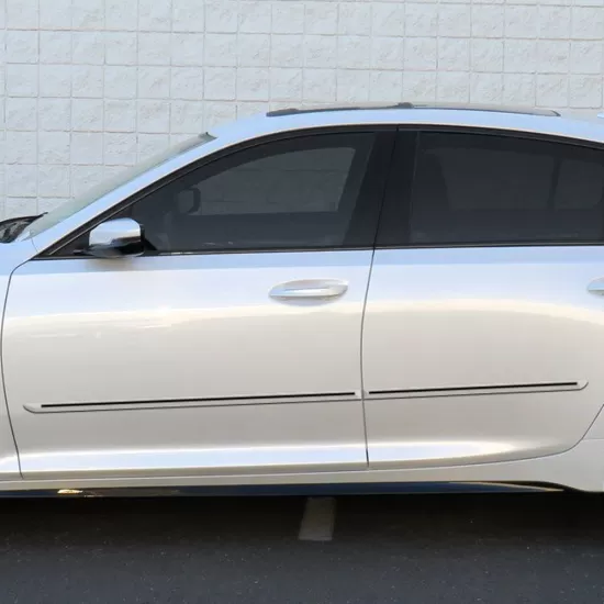 Cadillac CT5 Painted Moldings with a Color Insert 2020 - 2023