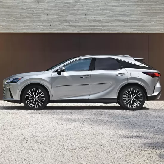  Lexus RX Painted Moldings with a Color Insert 2023 - 2026 / CI-RX23