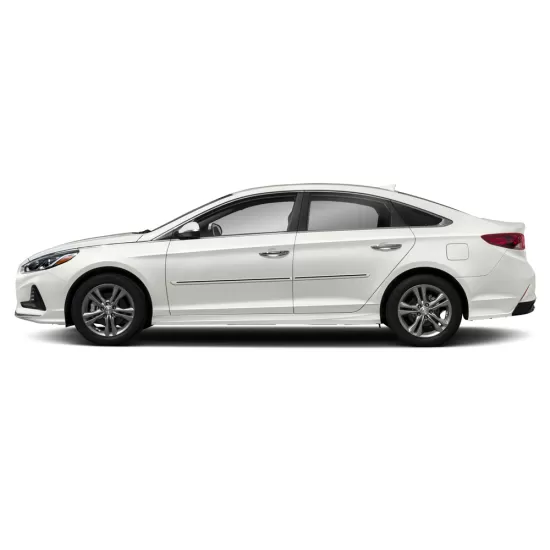 Hyundai Sonata Painted Moldings with a Color Insert 2011 - 2019