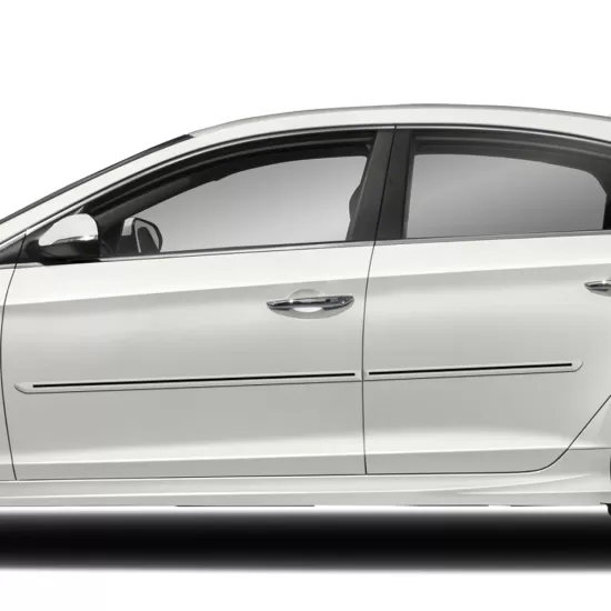 Hyundai Sonata Painted Moldings with a Color Insert 2011 - 2019