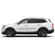 Kia Telluride Painted Moldings with a Color Insert 2020 - 2025 / CI-TELLURIDE20