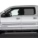 Ford F-250 SuperCrew Painted Body Side Moldings with Color Inserts 2017 - 2022