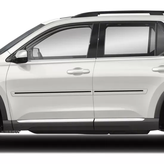 Honda Pilot Painted Body Side Moldings with Color Inserts 2023 - 2025