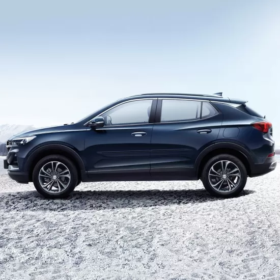 Buick Encore GX Painted Moldings with a Color Insert 2020 - 2023