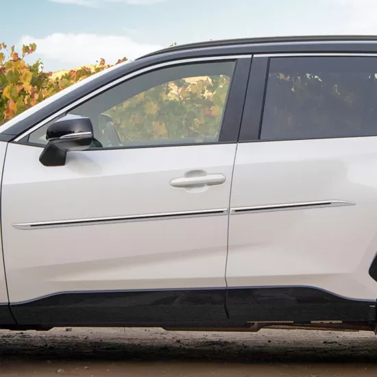 Toyota RAV4 Painted Body Side Moldings with Color Inserts 2019 - 2025