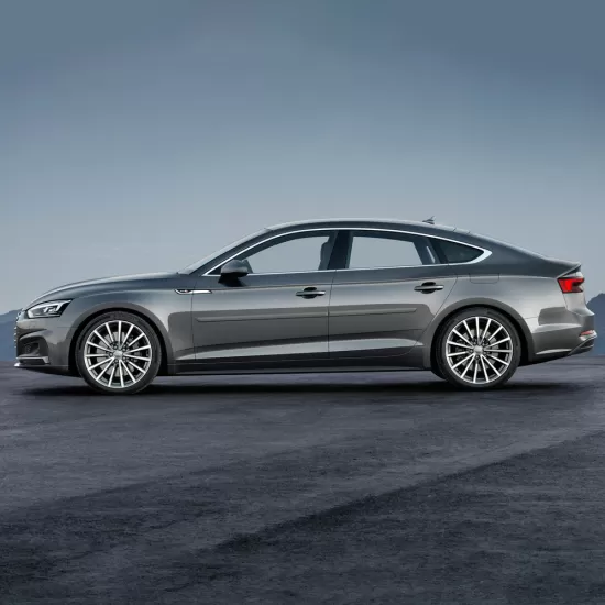  Audi S5 Sportback 4 Door Painted Body Side Molding 2017 - 2025 / FE-AUDI-A5-4DR