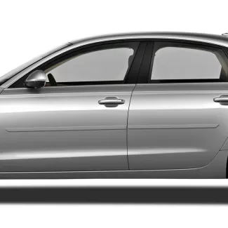 Audi A6 Painted Body Side Molding 2009 - 2015
