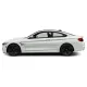 BMW 4-Series Coupe Painted Body Side Molding 2013 - 2020 / FE-BMW4 (FE-BMW4) by www.Sportwing.com