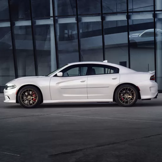 Dodge Charger Painted Body Side Moldings 2015 - 2023